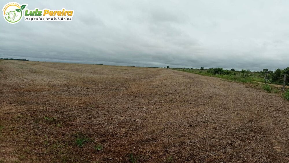 Terreno, 857 hectares - Foto 2