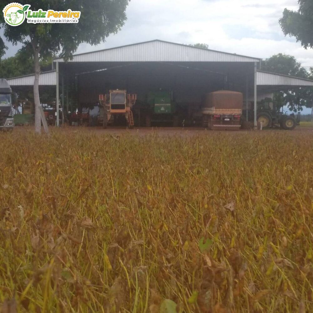 Terreno, 857 hectares - Foto 4