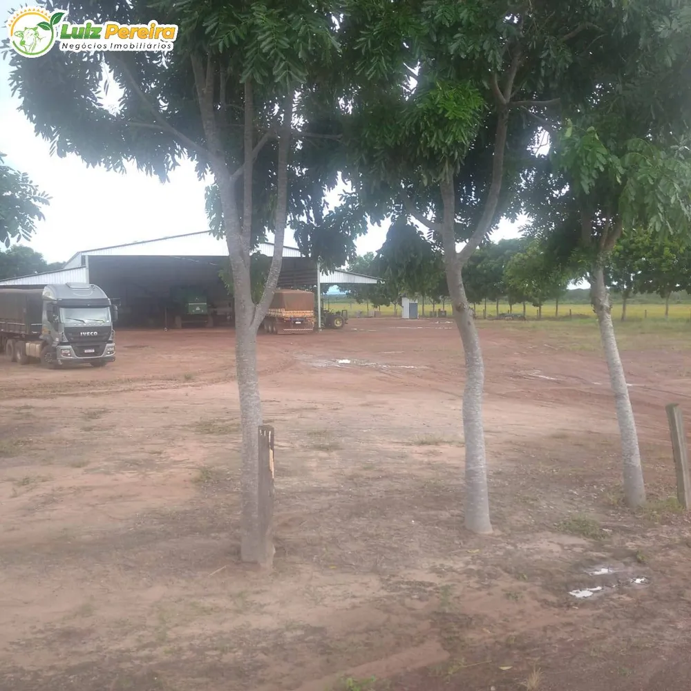 Terreno, 857 hectares - Foto 5