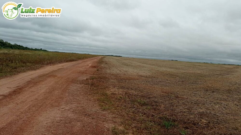 Terreno, 857 hectares - Foto 1