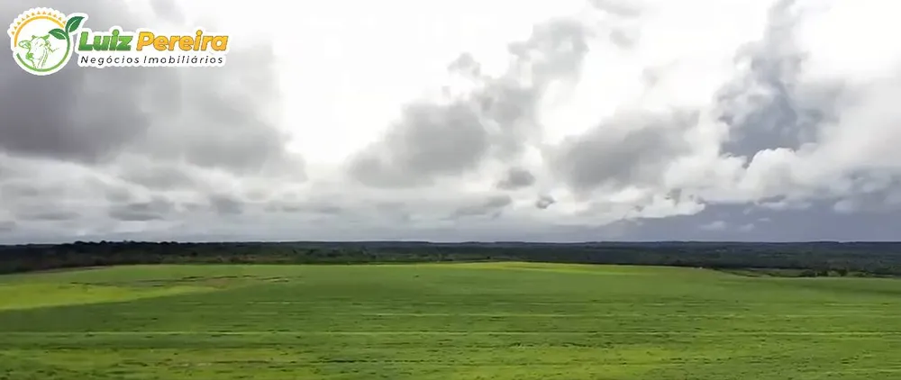 Terreno, 1600 m² - Foto 4