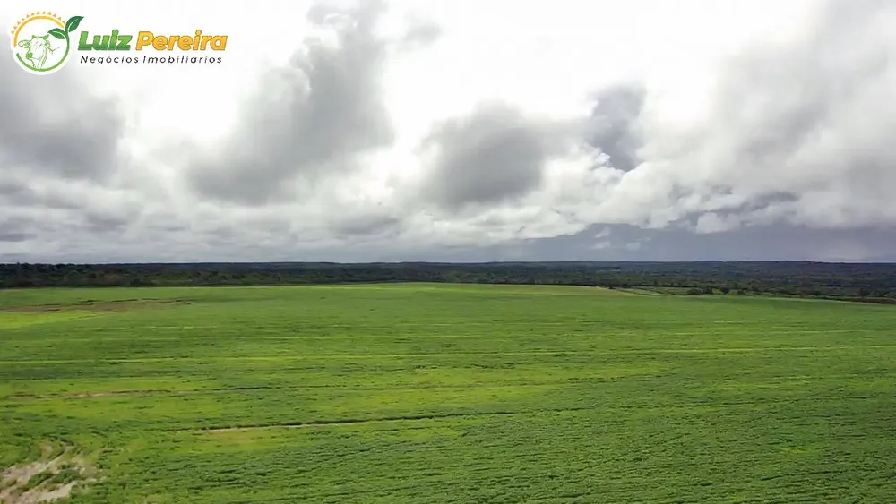 Terreno, 1600 m² - Foto 10