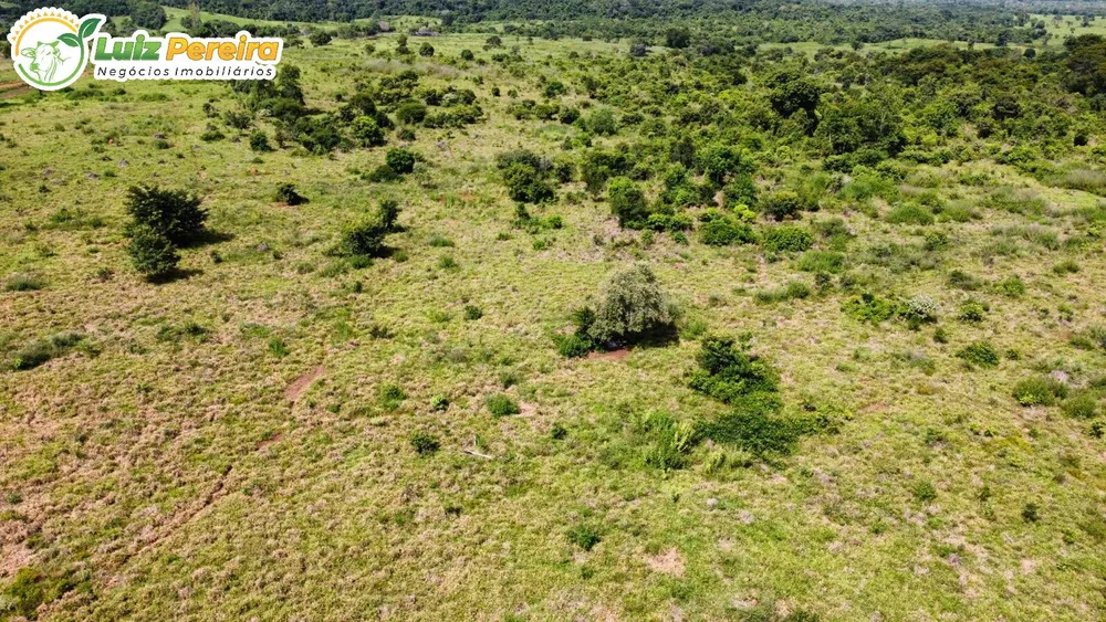 Terreno, 3388 m² - Foto 12
