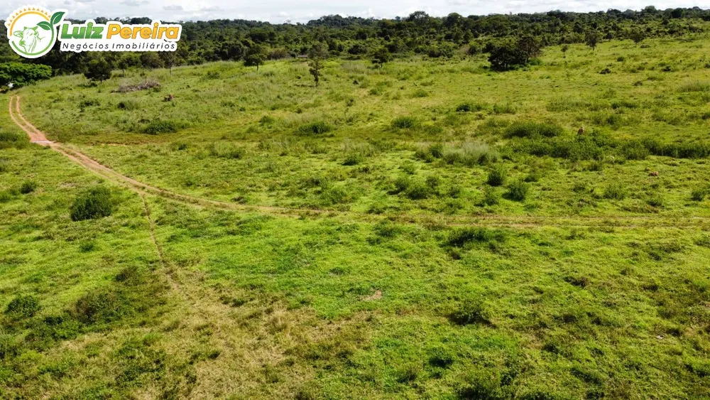 Terreno, 3388 m² - Foto 13