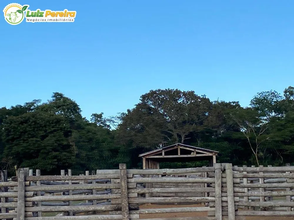Terreno, 2 hectares - Foto 4