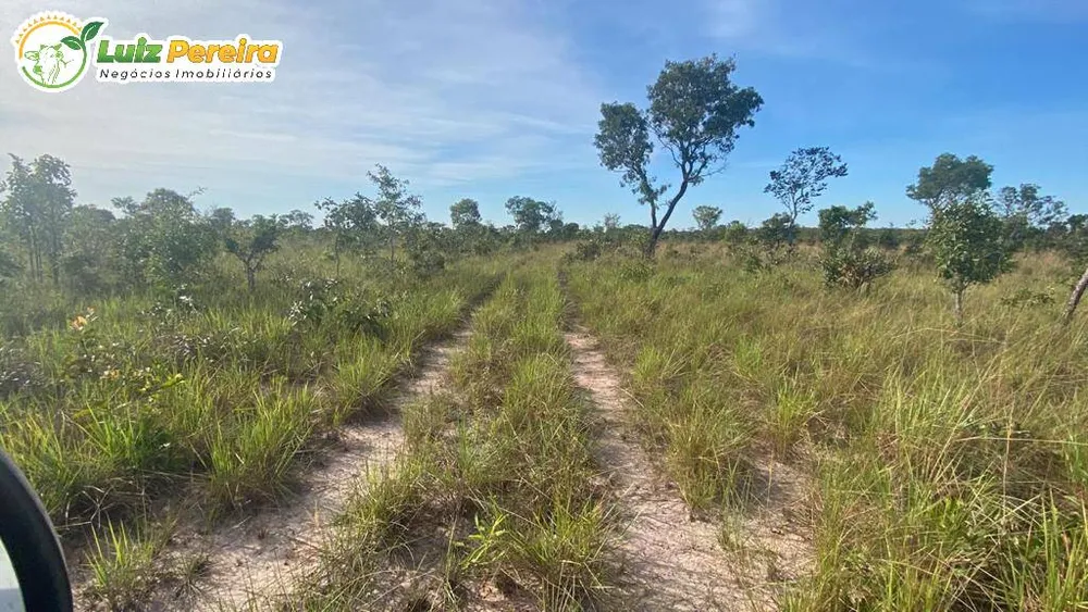 Terreno, 5179 hectares - Foto 12