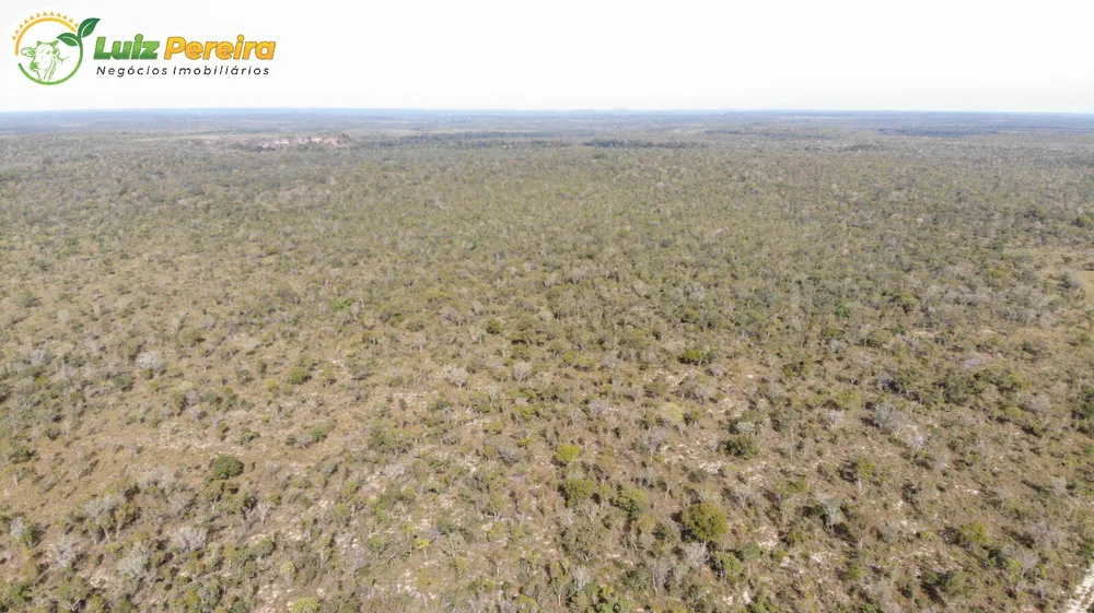 Terreno, 5179 hectares - Foto 6