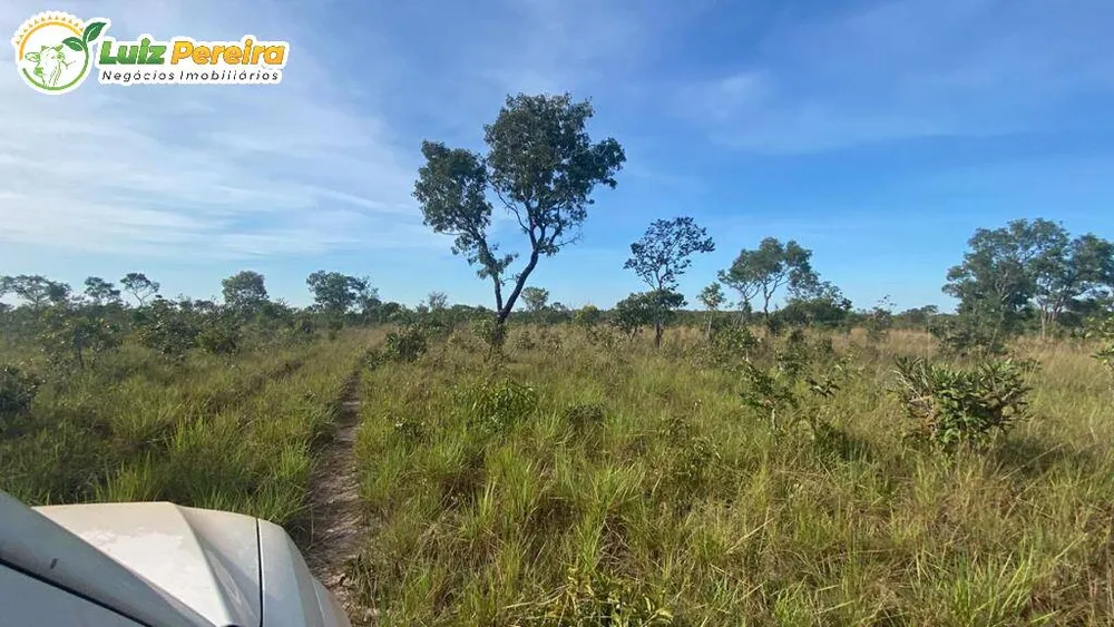 Terreno, 5179 hectares - Foto 4
