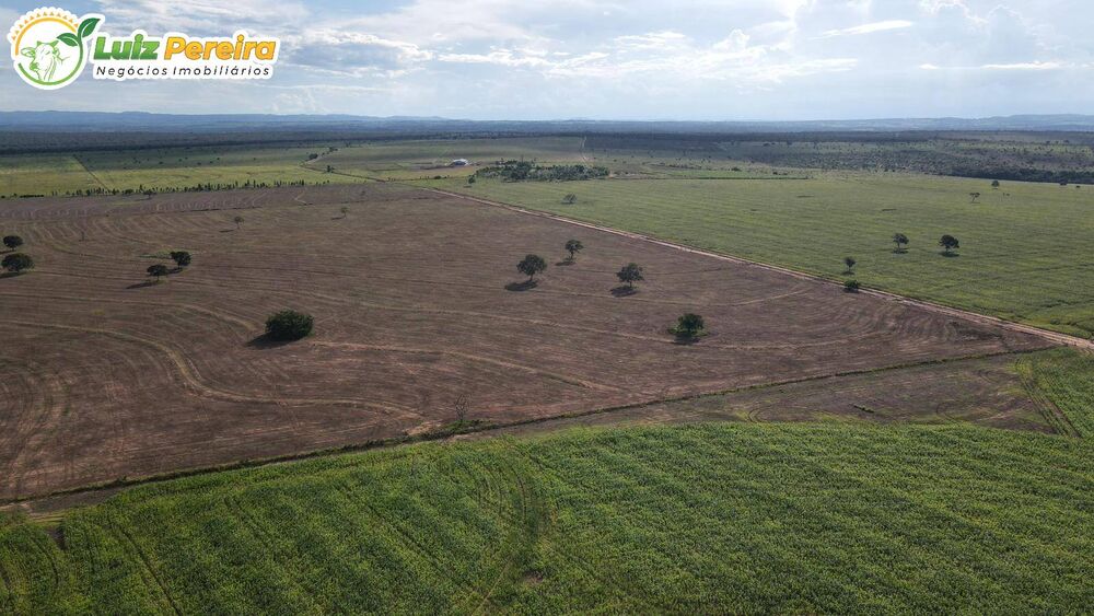 Terreno, 2163 m² - Foto 3