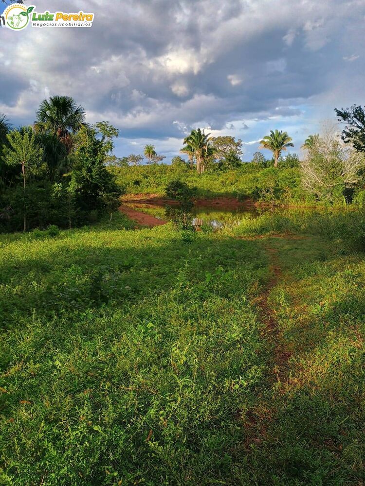 Terreno, 2163 m² - Foto 1