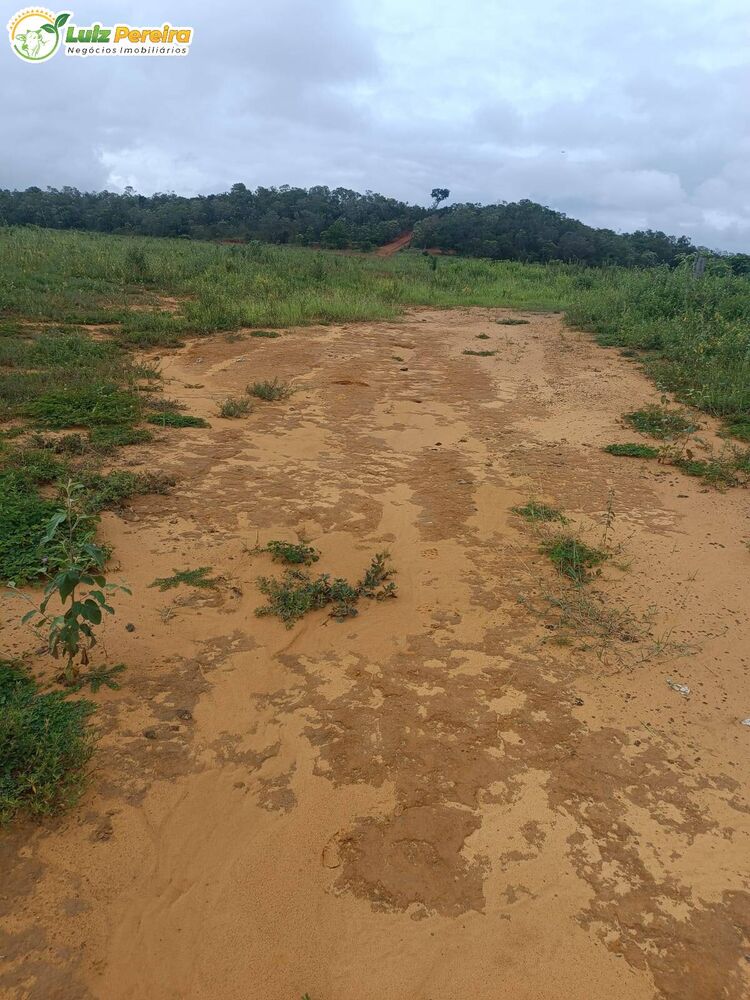 Terreno, 2163 m² - Foto 8