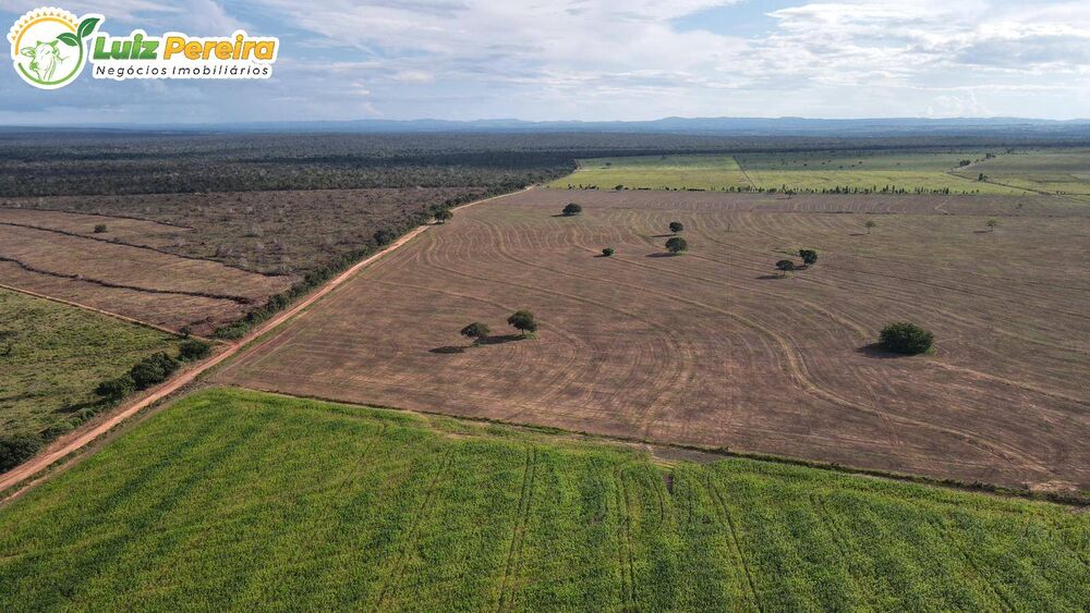 Terreno, 2163 m² - Foto 4