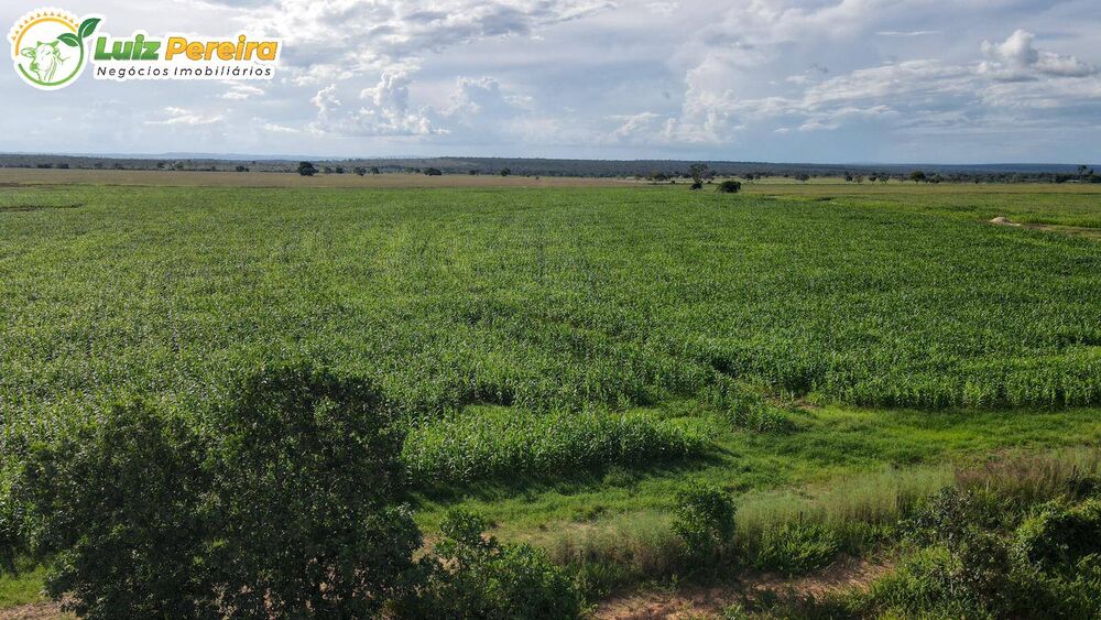 Terreno, 2163 m² - Foto 6