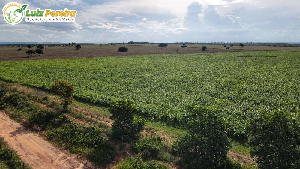 Terreno, 2163 m² - Foto 11