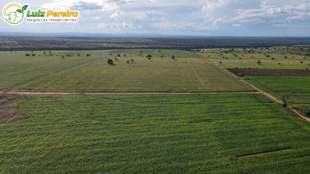 Terreno, 2163 m² - Foto 5