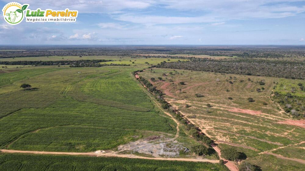 Terreno, 2163 m² - Foto 2