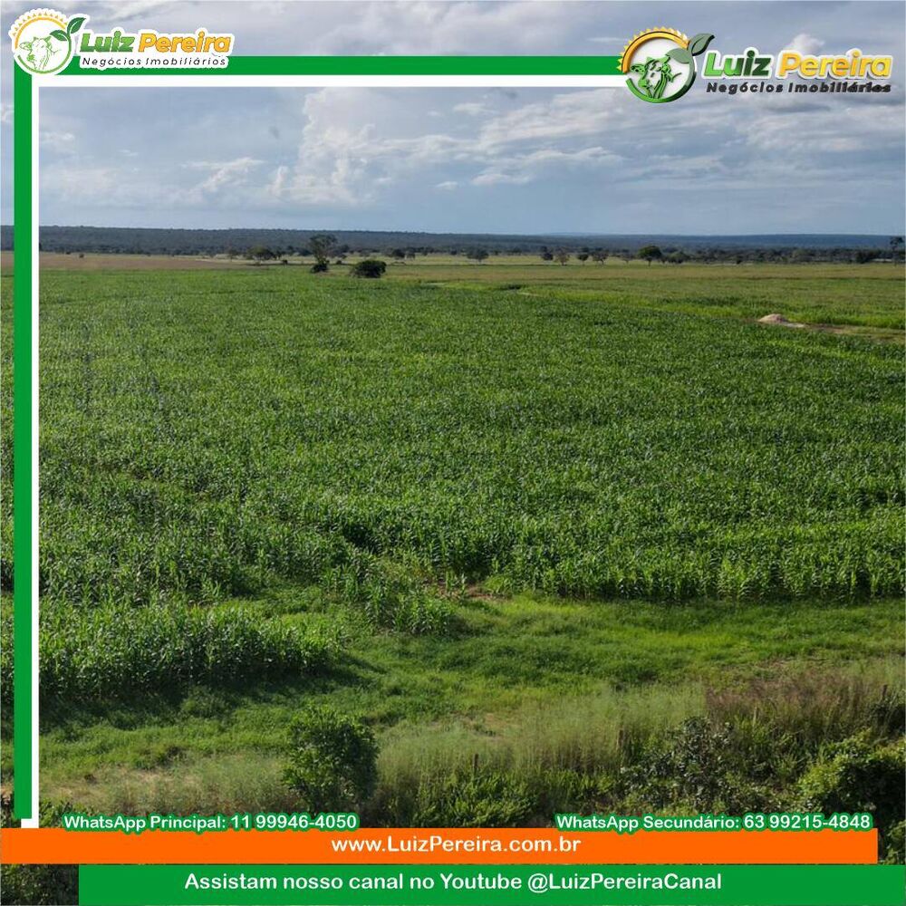 Terreno, 2163 m² - Foto 7