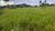 Terreno, 14520 hectares - Foto 1