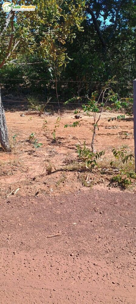 Terreno, 2003 m² - Foto 12