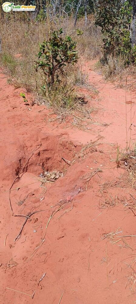 Terreno, 2003 m² - Foto 7