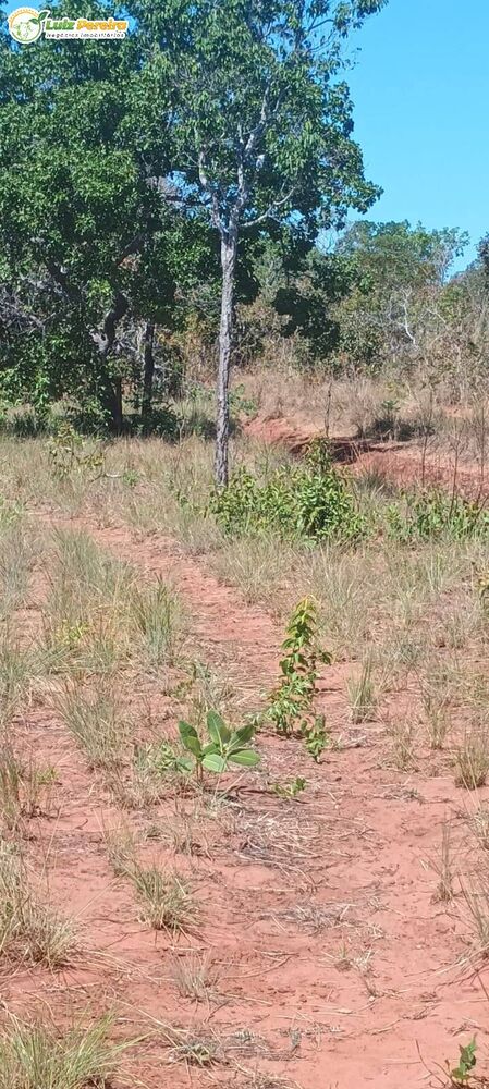 Terreno, 2003 m² - Foto 2