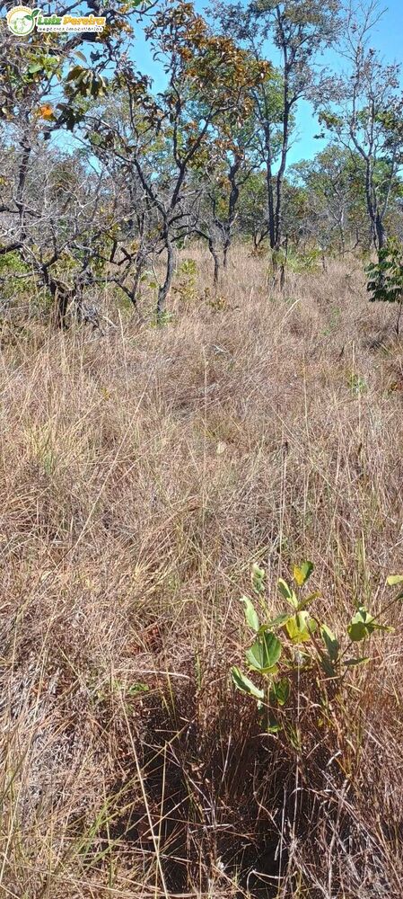 Terreno, 2003 m² - Foto 10