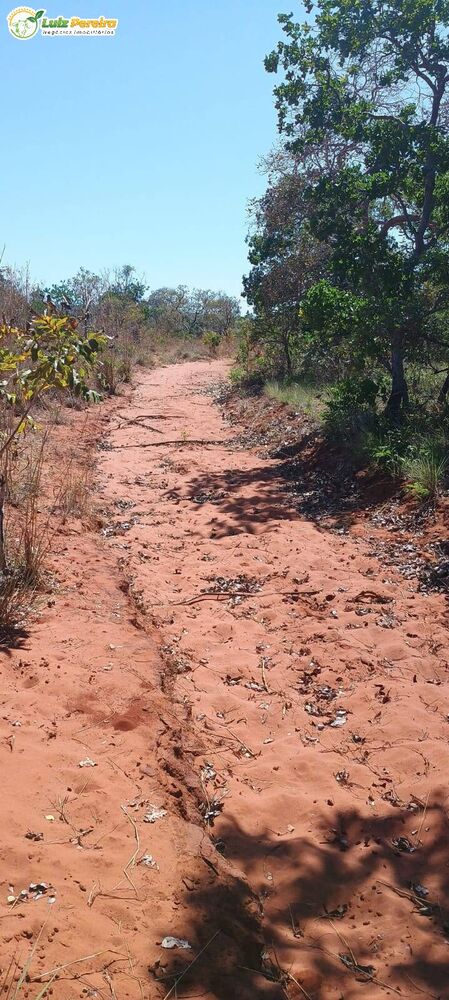 Terreno, 2003 m² - Foto 9