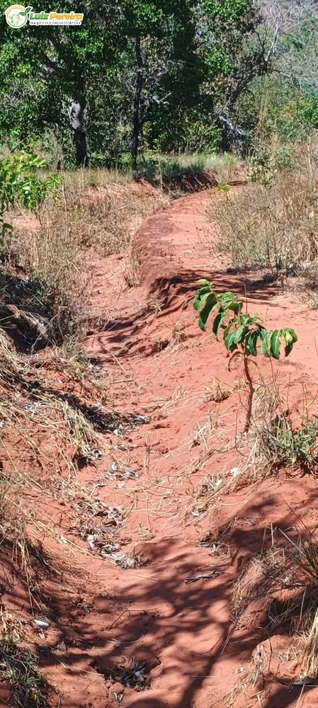 Terreno, 2003 m² - Foto 6