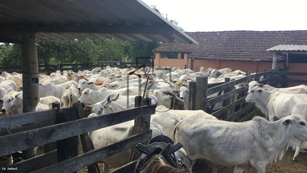 Fazenda, 52 m² - Foto 5