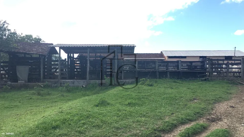 Fazenda, 52 m² - Foto 6