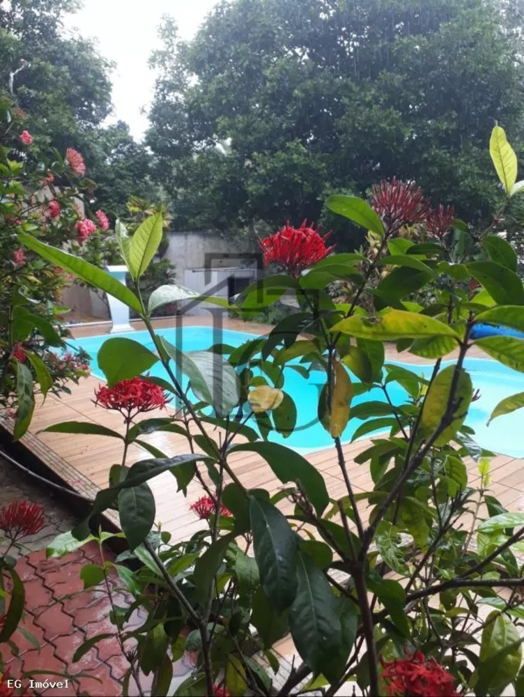 Casa, 5 quartos, 230 m² - Foto 25