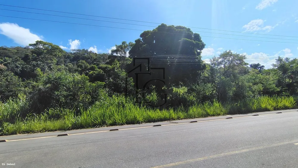Terreno, 4 hectares - Foto 3