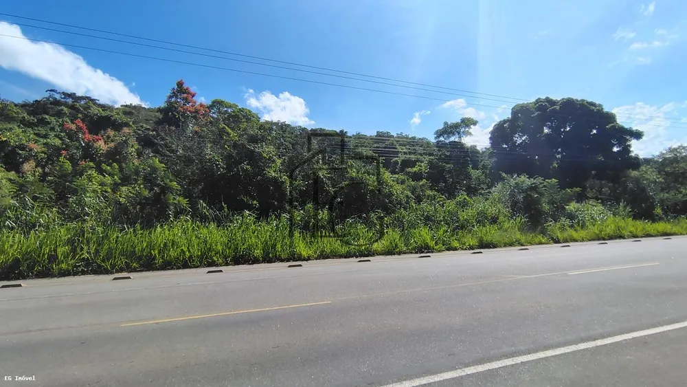 Terreno, 4 hectares - Foto 8