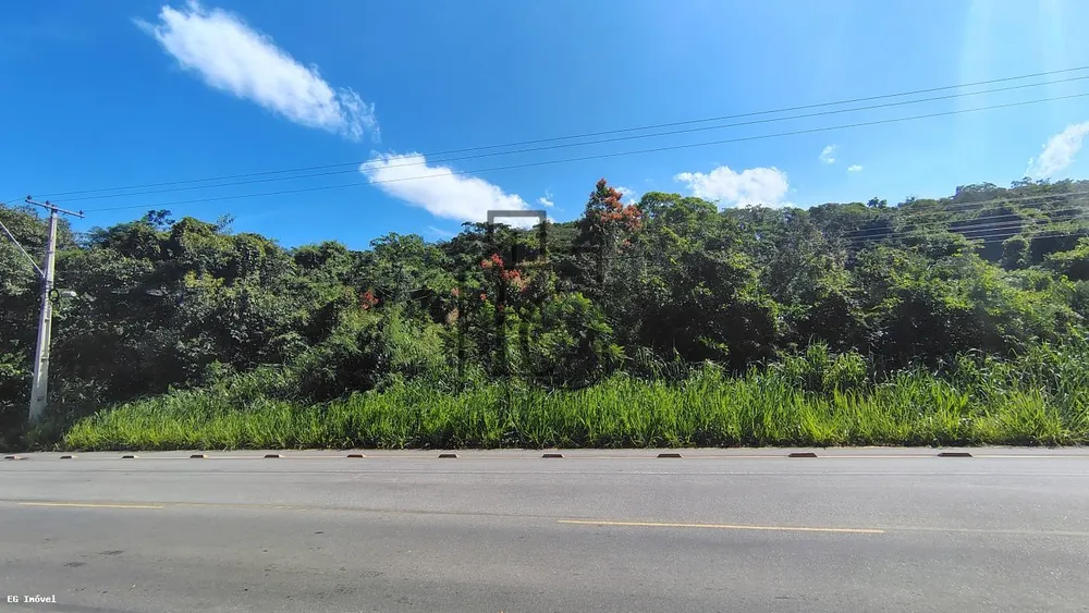 Terreno, 4 hectares - Foto 6