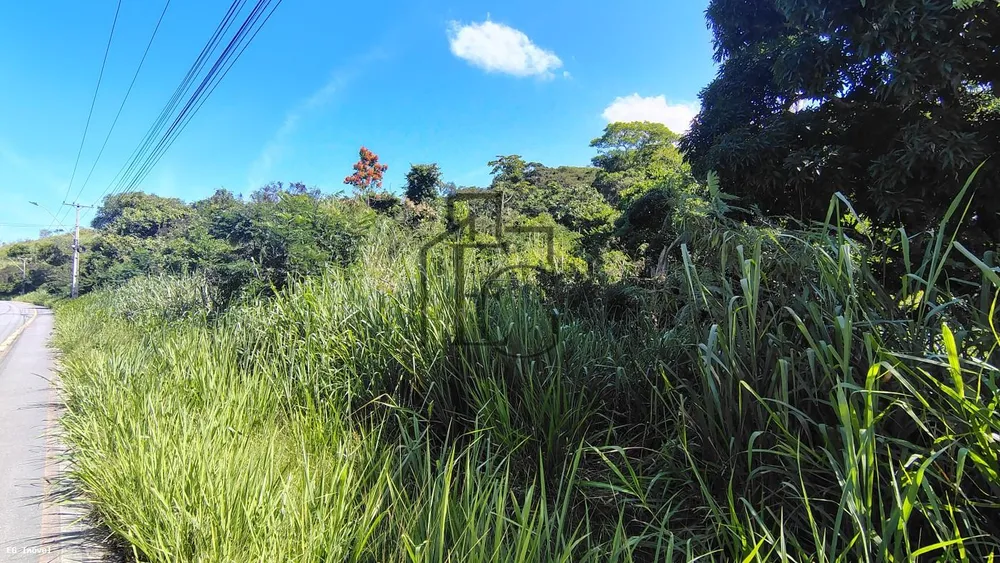 Terreno, 4 hectares - Foto 4