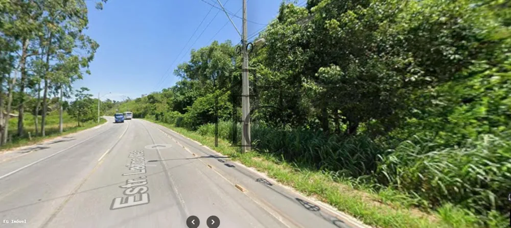 Terreno, 4 hectares - Foto 10