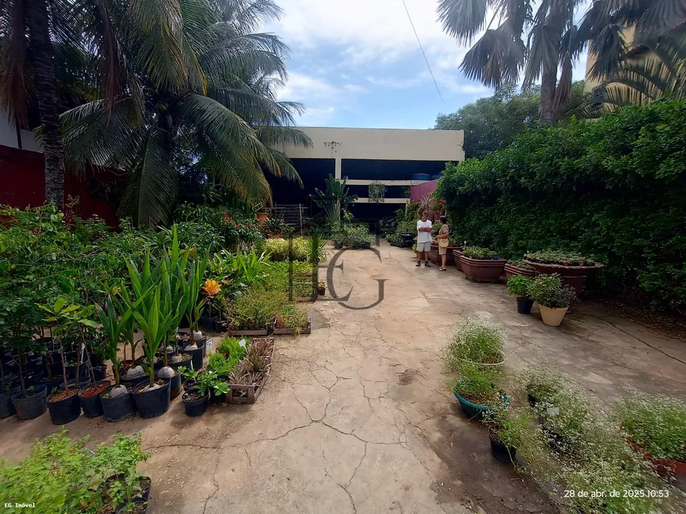 Prédio Inteiro, 297 m² - Foto 5