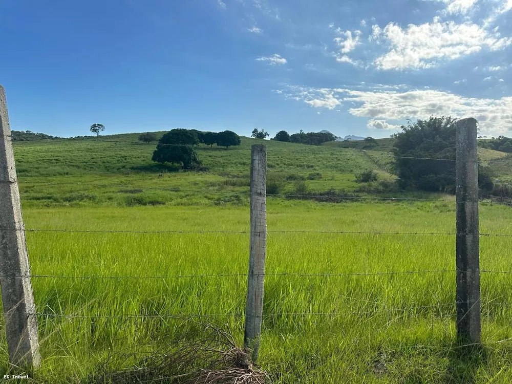 Chácara, 4 quartos, 12 m² - Foto 1