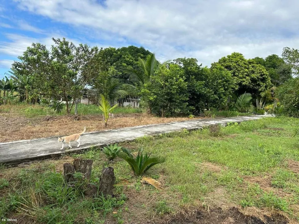 Chácara, 4 quartos, 12 m² - Foto 33