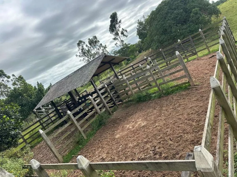 Chácara, 4 quartos, 12 m² - Foto 42