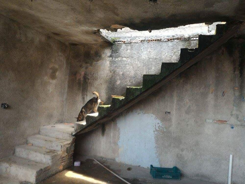 Sobrado, 3 quartos - Foto 15