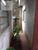 Casa, 4 quartos, 150 m² - Foto 4