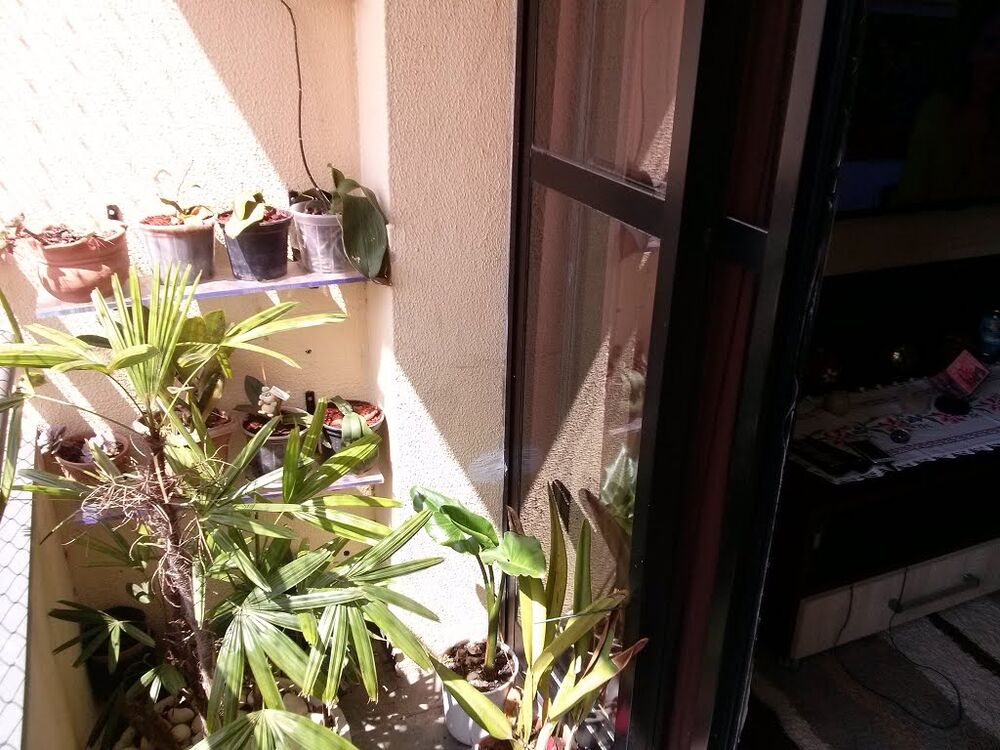 Apartamento, 3 quartos - Foto 4