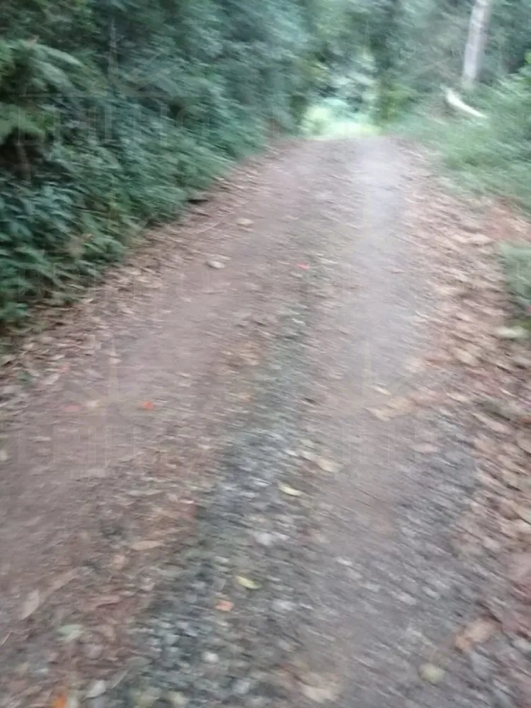 Terreno, 1000 m² - Foto 3