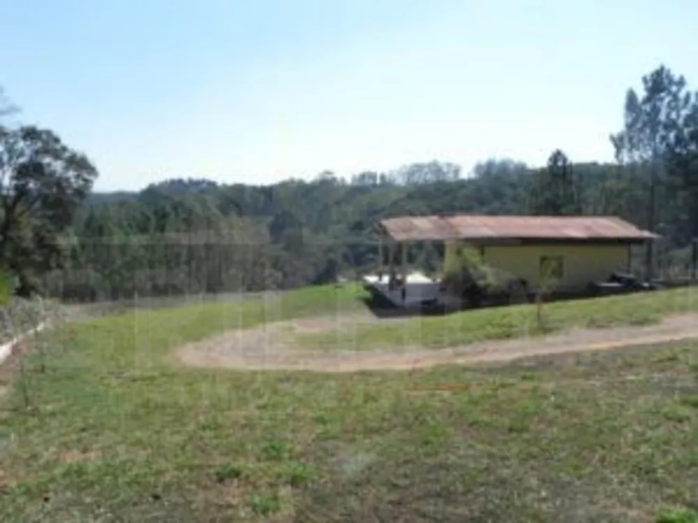 Fazenda à venda com 1 quarto, 7840m² - Foto 3