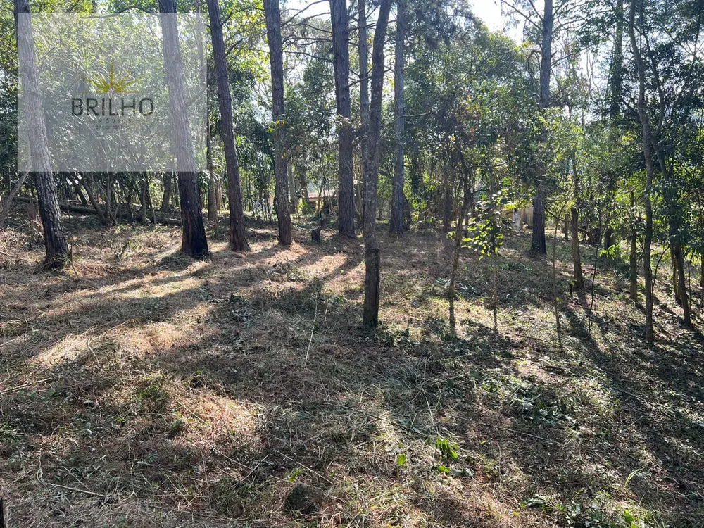 Terreno, 1 hectares - Foto 8