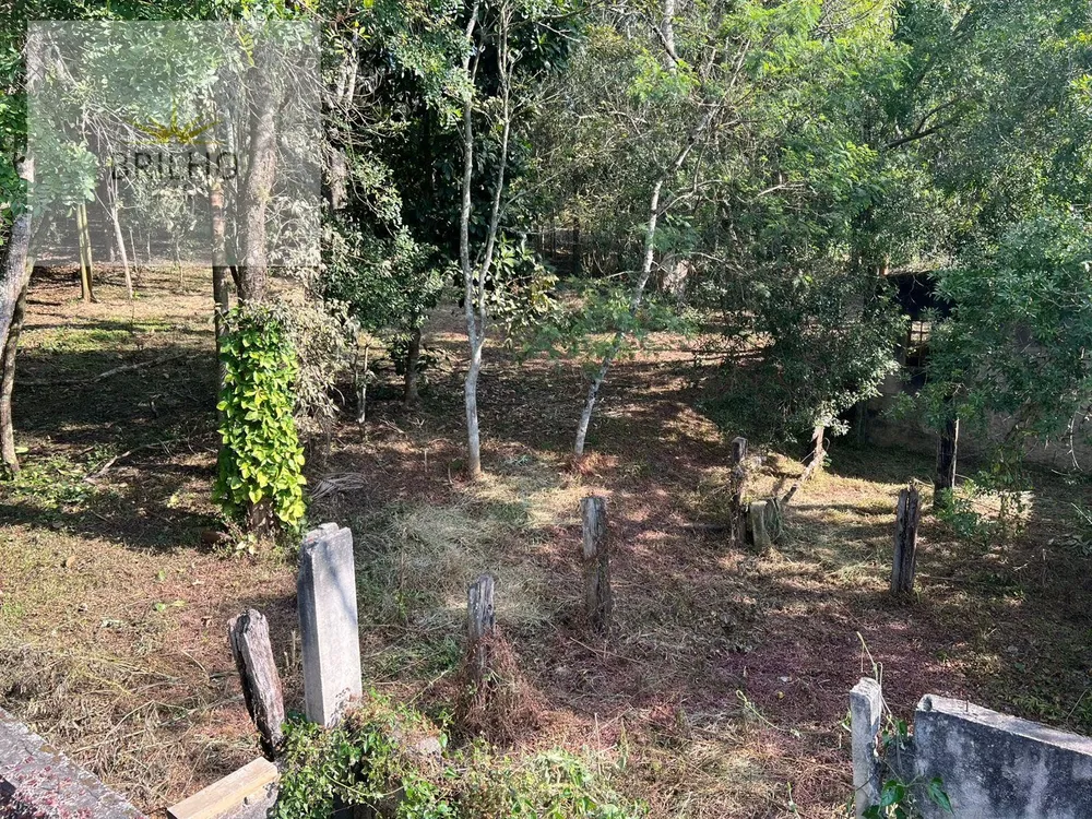 Terreno, 1 hectares - Foto 6