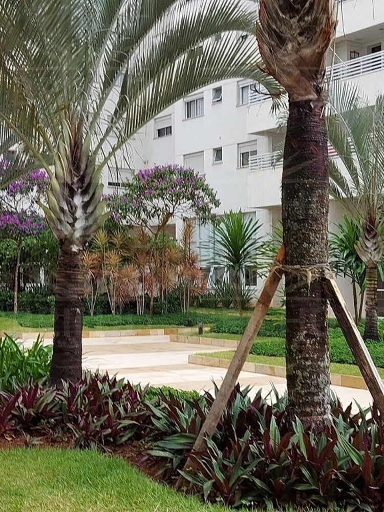 Apartamento para alugar com 2 quartos, 67m² - Foto 12