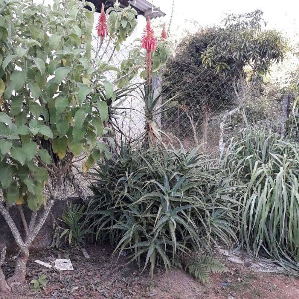 Chácara, 2 quartos - Foto 4