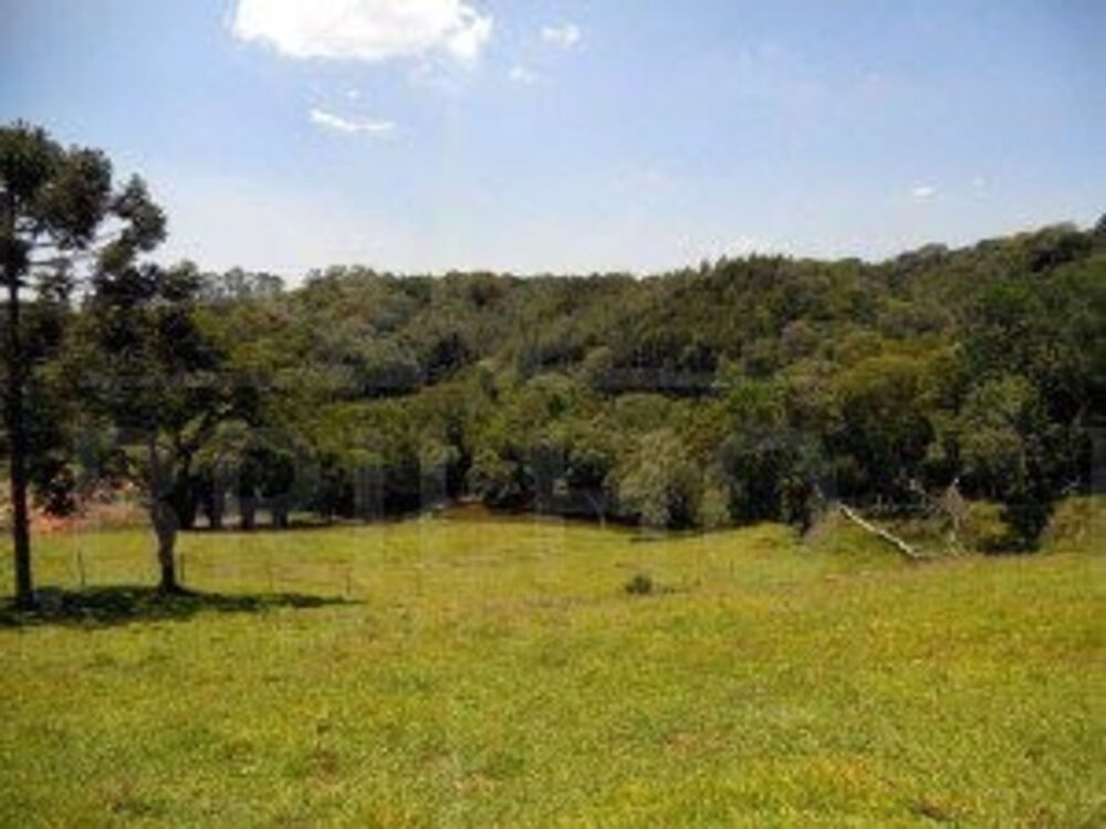 Chácara à venda com 1 quarto, 10324m² - Foto 1